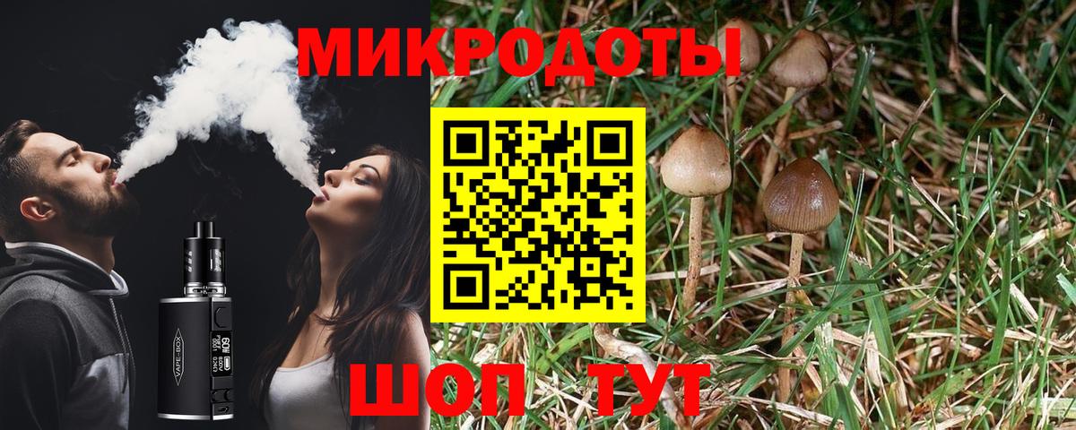 Галлюциногенные грибы прущие грибы Буйнакск