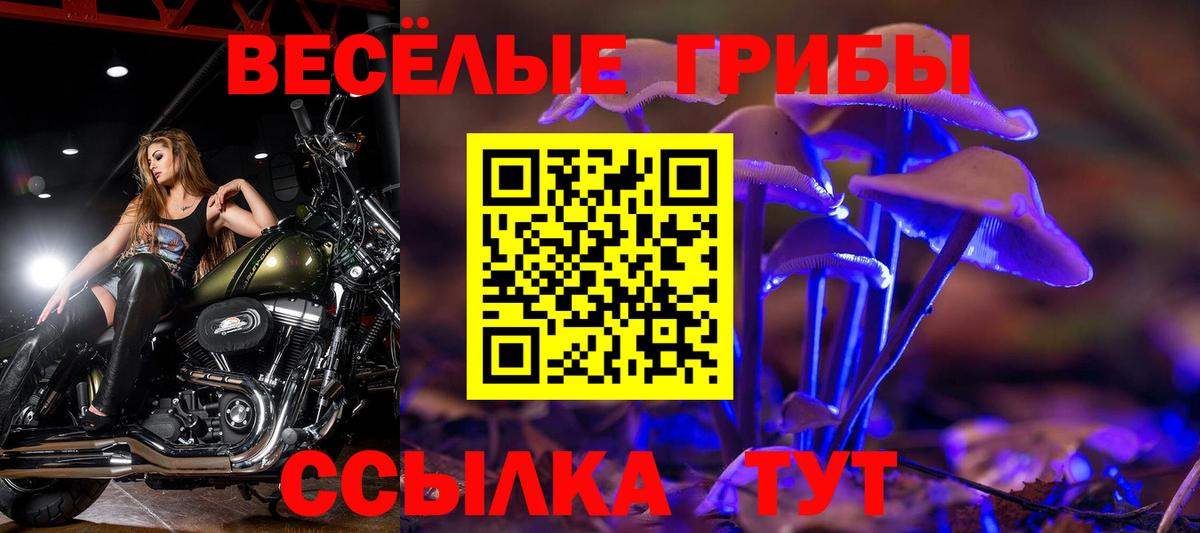 Буйнакск  Псилоцибиновые грибы прущие грибы  сколько стоит  Вход с VPN  Галлюциногенные грибы мухоморы 